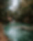 pexels-jondave-libiran-1263568-2405639.jpg